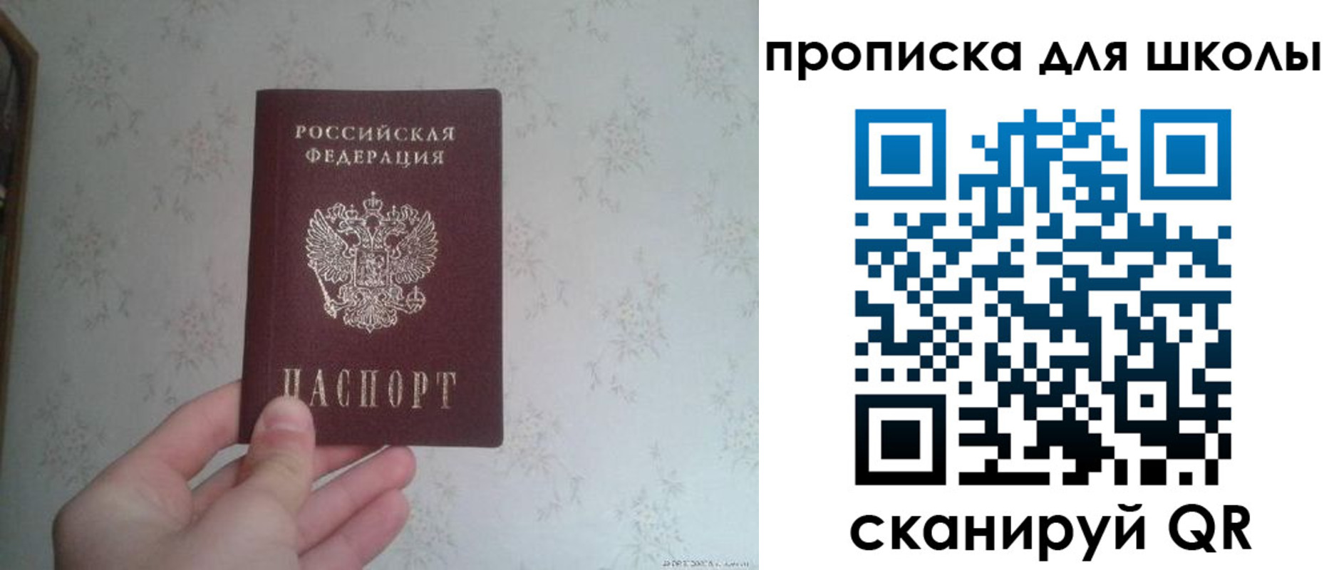 прописка в квартире в Светогорске